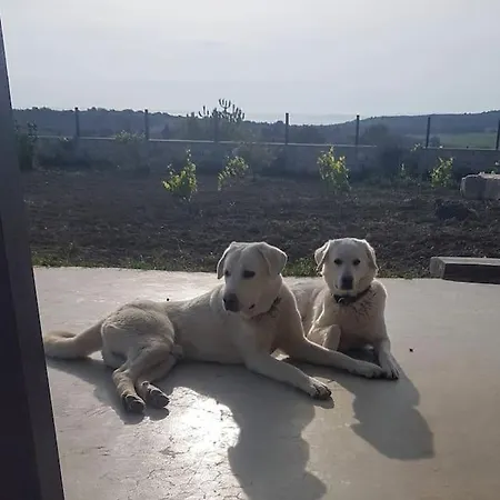 Sunset No 23 Second Unit Colorful And Cozy 別荘 *